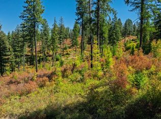 Nka Oreilly Rd, Princeton, ID 83857