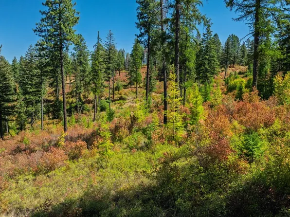 Nka Oreilly Rd, Princeton, ID 83857