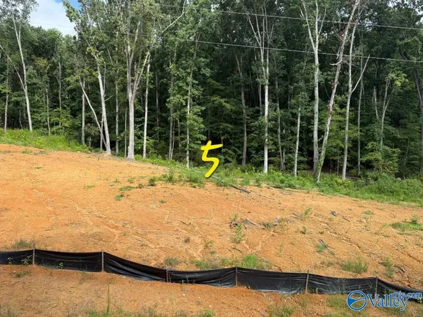 LOT 5 County Road 114, Scottsboro, AL 35769