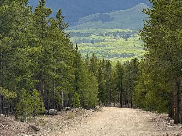 833 Peak View Dr, Twin Lakes, CO 81251