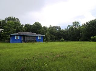 121 Punch Ln, Shepherd, TX 77371