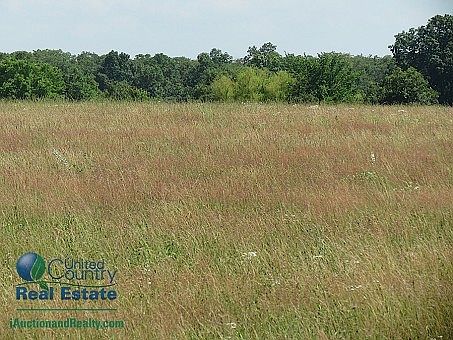 5th image of 5341 County Road 233