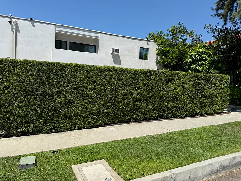 1011 Linden Ave #9 — Photo 20