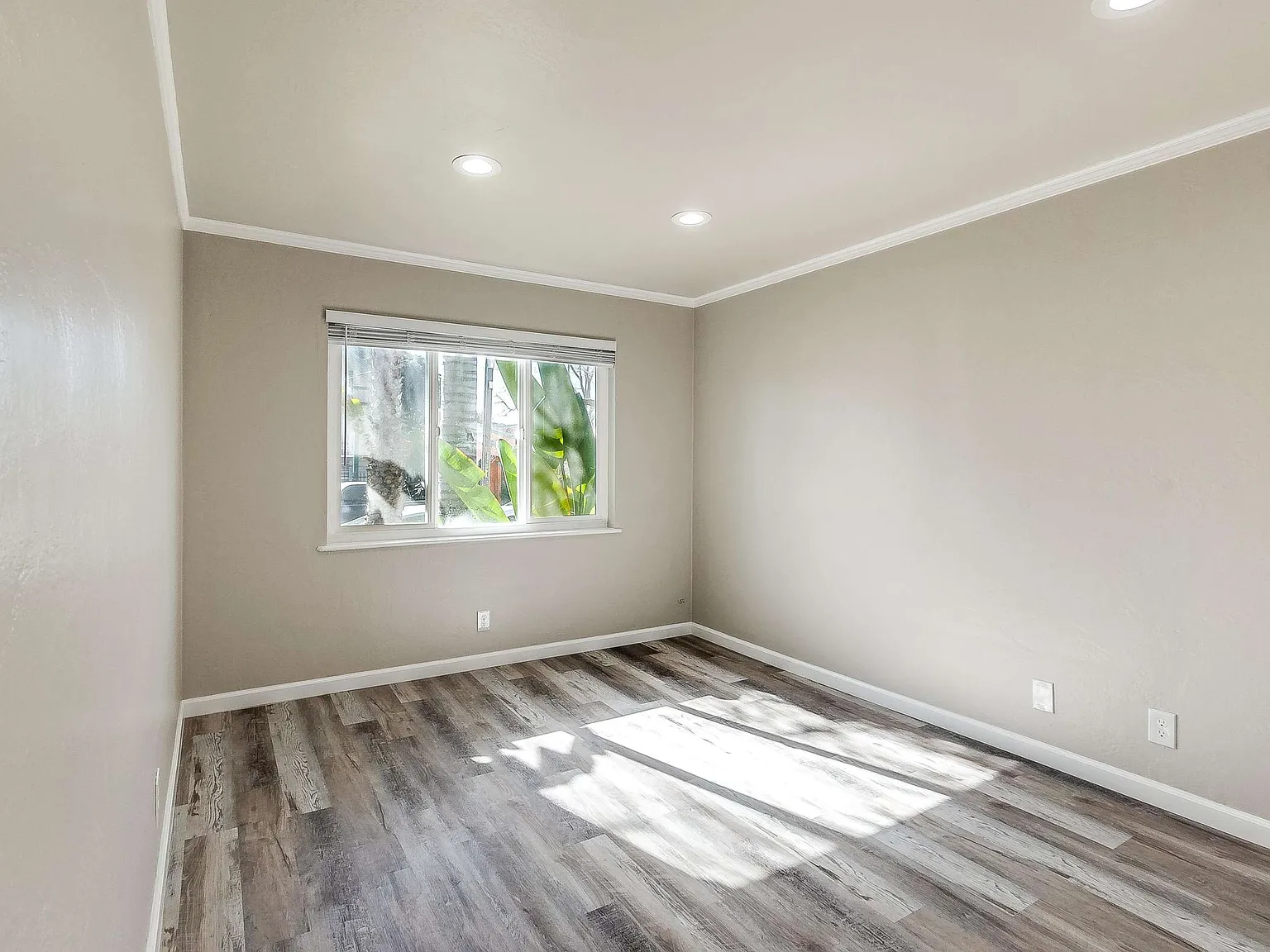 1 bed, 550 sqft, $1,675 — Photo 4