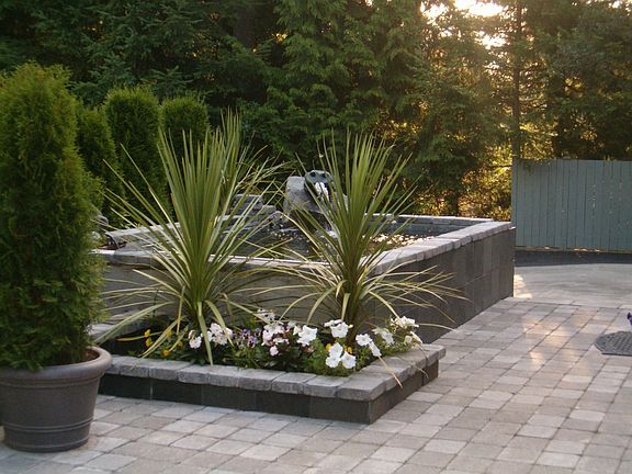 Water Feature and Courtyard