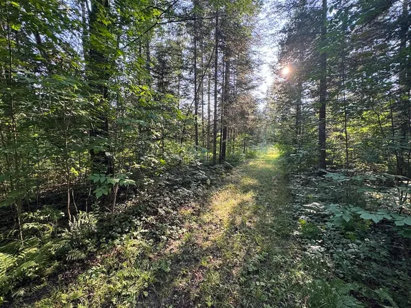 Channel Lake Rd, West Branch, MI 48661