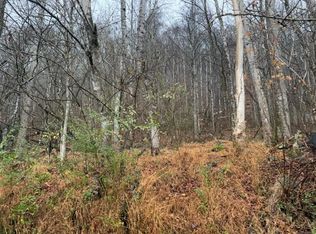 N Fork River Rd, Abingdon, VA 24210