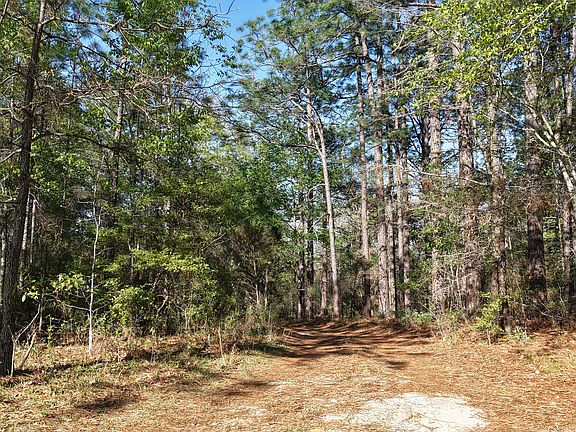 3rd image of 2 Saint Mark Rd