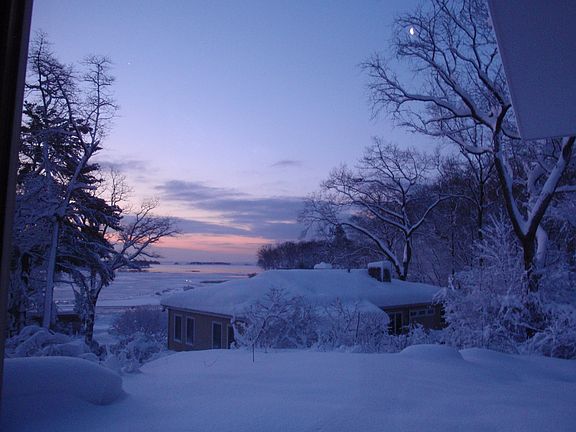 Winter view from living room