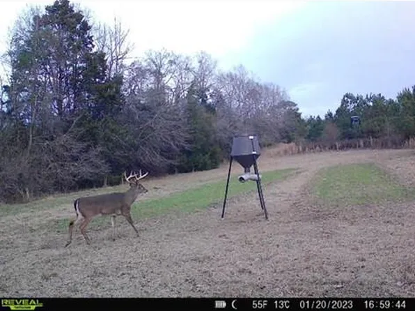 0 Highway 131, Eufaula, AL 36027