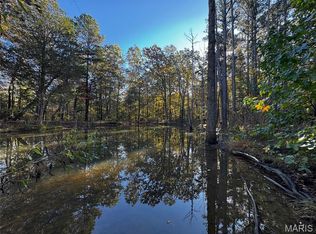 902 Ripley Rte E #160E-8, Doniphan, MO 63935