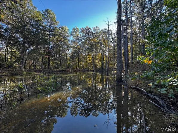 902 Ripley Rte E #160E-8, Doniphan, MO 63935