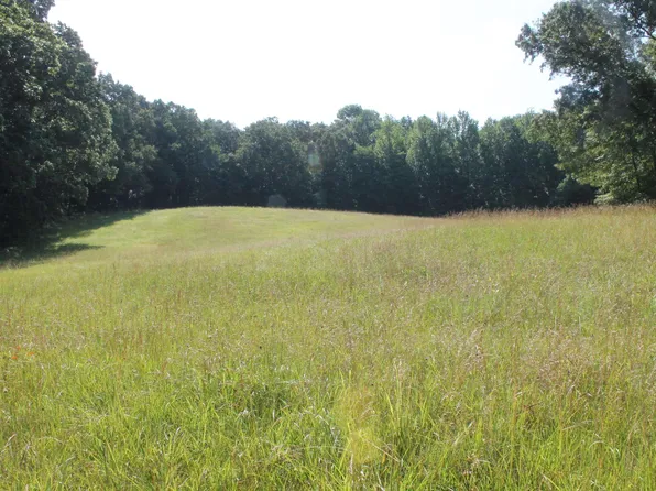 0 Palmersville Hwy #89, Palmersville, TN 38241