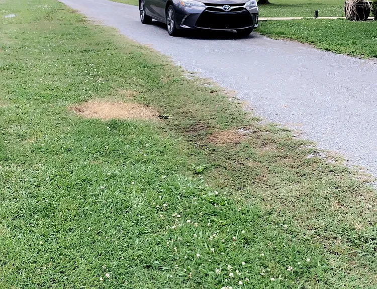 Long driveway, off the road and beautiful sunsets.