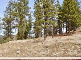 55 Larkspur St, Durango, CO 81301