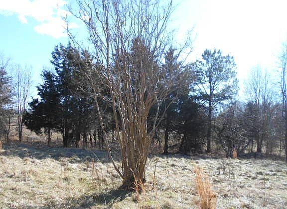 4th image of 304 Lowland Dr
