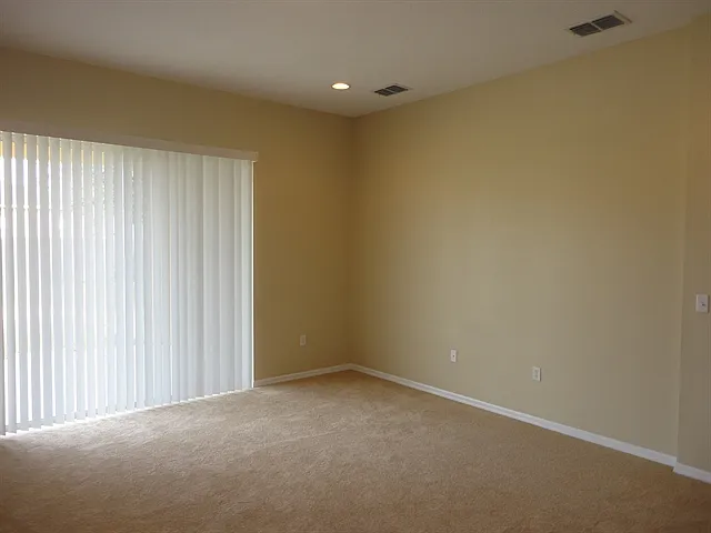 3828 Alamanda Hills Ln — Photo 5
