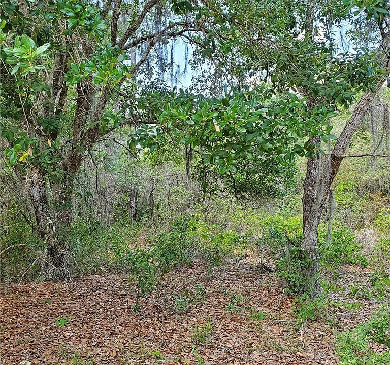 2nd image of 1345 ST AUGUSTINE COURT LOT 17
