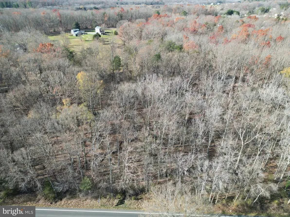 Zachary Taylor Hwy, Unionville, VA 22567