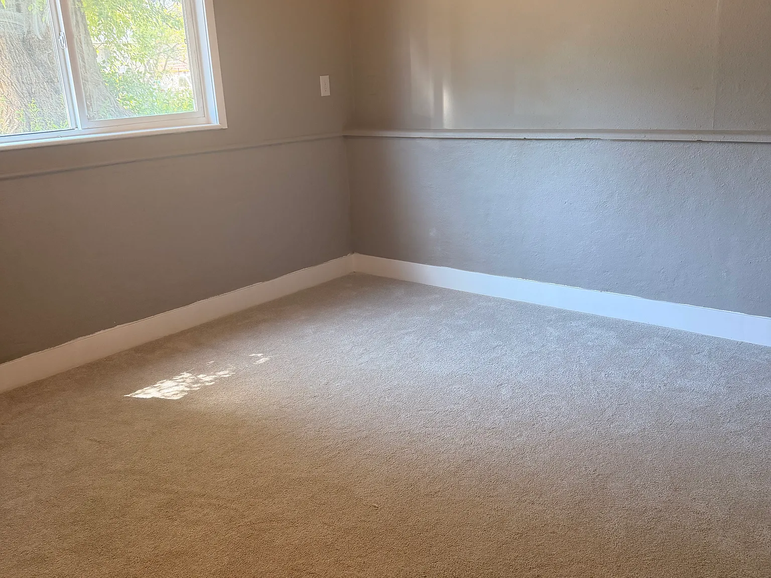 4 bed, 1669 sqft, $800 — Photo 4