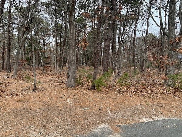2nd image of 15 Fox Ln