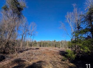 0 Chestnutt Rd, Slocomb, AL 36375