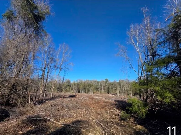 0 Chestnutt Rd, Slocomb, AL 36375