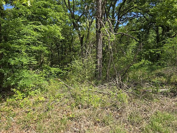 2nd image of LOT 699 Shady Grove Rd