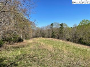 Tbd South Laurel Fork Rd, Laurel Springs, NC 28644