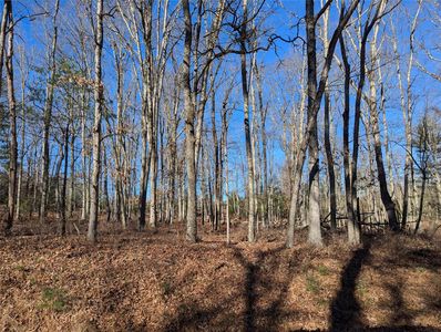 Lot 11 Mahls Pond Rd, Narrowsburg, NY, 12764