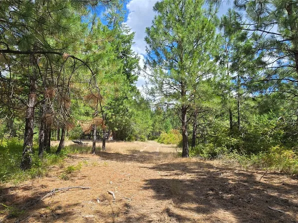 1733 Old CC Road, Addy, WA 99101