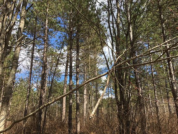 2nd image of ON SWAMP LAKE RD