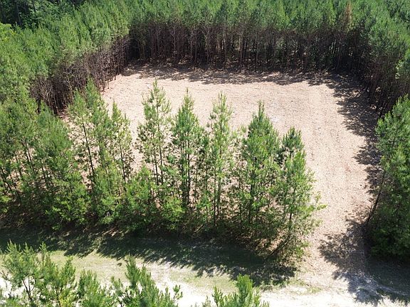 4th image of 0 Highway 311 Lot 5