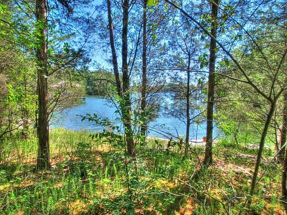 3rd image of Lot 28 E Shore Drive