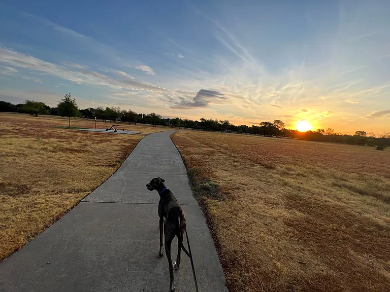 beautiful arcadia trail