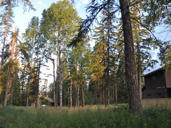 181 Mountain Brook Ln, Whitefish, MT 59937