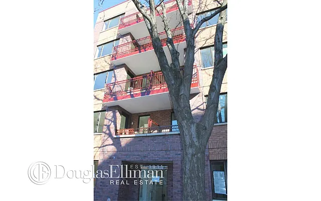 Rented by Douglas Elliman | media 19