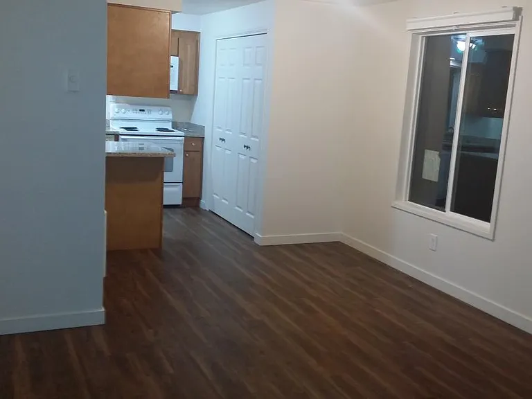 FROM GREAT ROOM TOWARD DINING