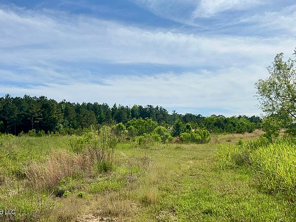 3rd image of S Pearson Rd