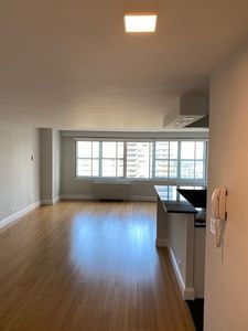 155 W 68th St APT 2008, New York, NY, 10023