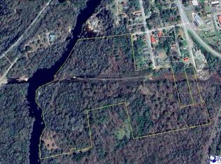 McFarlin St, Kingstree, SC 29556