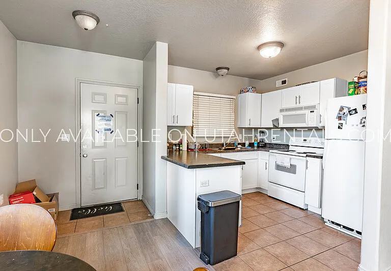 859 E 620 N #H2-1 — Photo 1