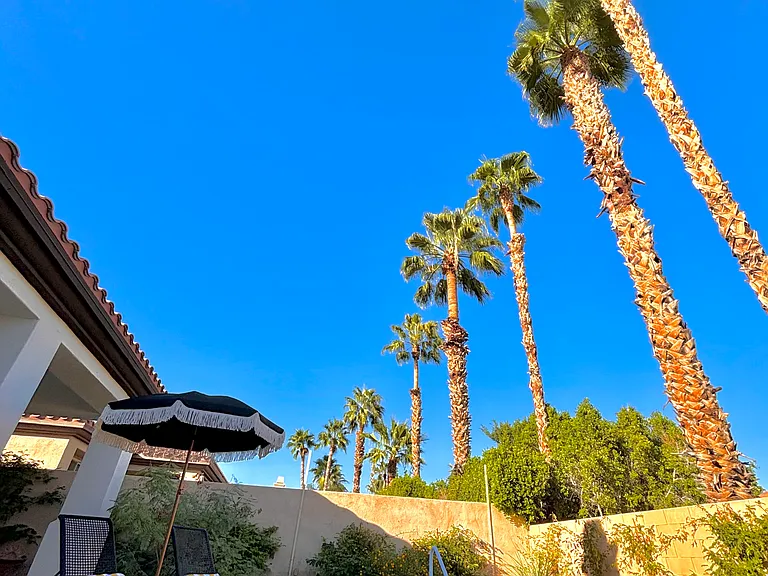 40592 Palm Ct — Photo 20