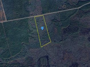 4650 Ammons Rd, Waycross, GA 31503