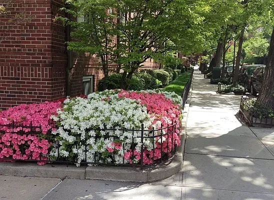 Sold by Compass | media 14