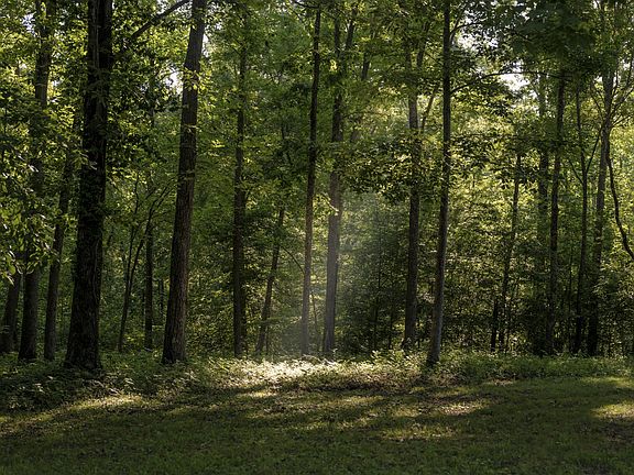 2nd image of 7725 Caney Fork Rd