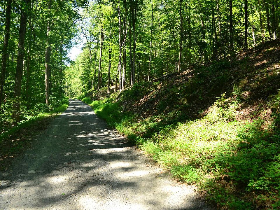 1st image of Damon Rd