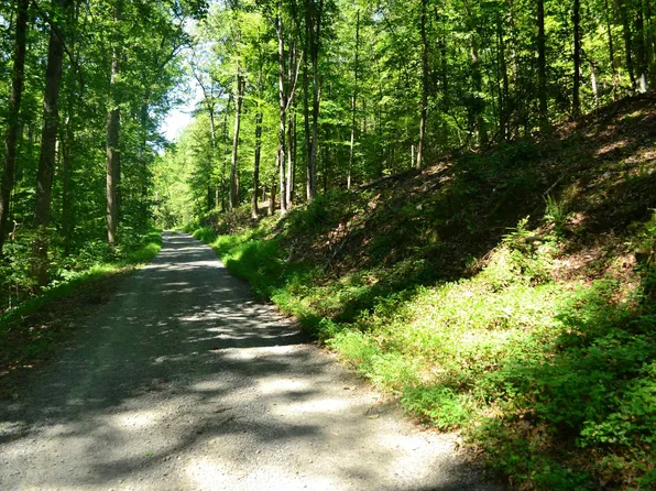 Damon Rd, Schuyler, VA 22969