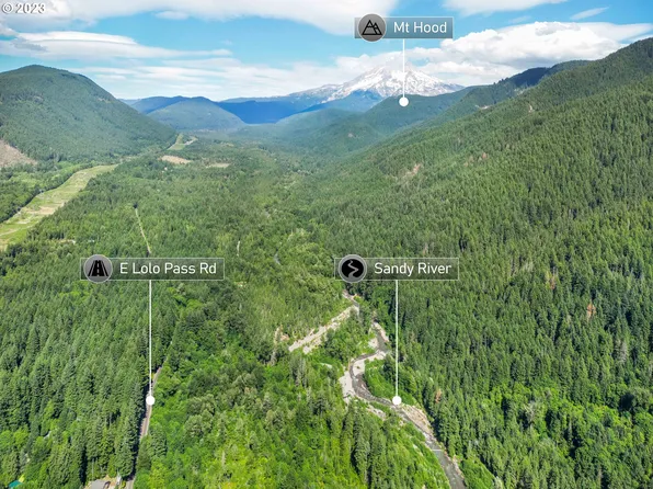 Tax Id #722445, Rhododendron, OR 97049