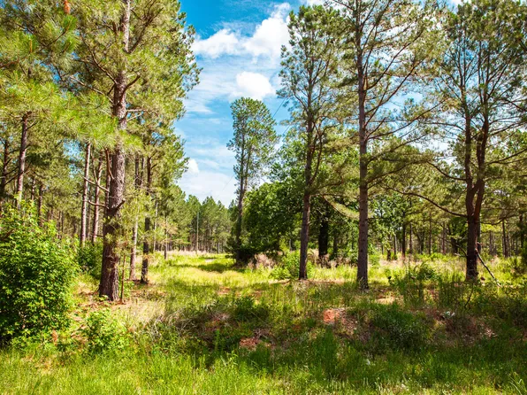 7175 Bill Dorn Road, Appling, GA